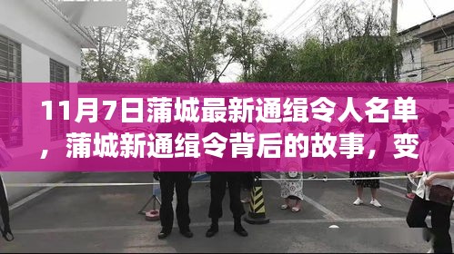 蒲城最新通缉令背后的故事，变化、学习与信心的力量，揭示通缉名单新动向