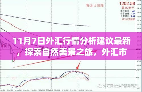 11月7日外汇行情最新解析与探索自然美景之旅，市场宁静与远方风景的魅力