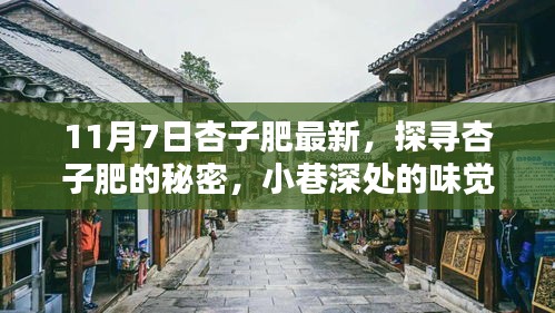 探寻杏子肥的秘密，小巷深处的味觉盛宴（最新杏子肥报道）