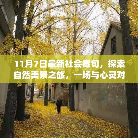 11月7日社会毒句与心灵对话的自然美景探索之旅