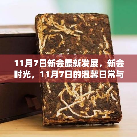 新会时光，11月7日的温馨日常与发展印记