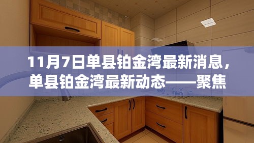 聚焦单县铂金湾，最新动态与要闻尽在11月7日