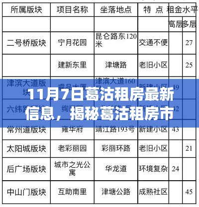 11月7日葛沽租房最新动态及市场深度解读