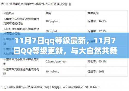 11月7日QQ等级更新，启程心灵之旅，与大自然共舞的新征程