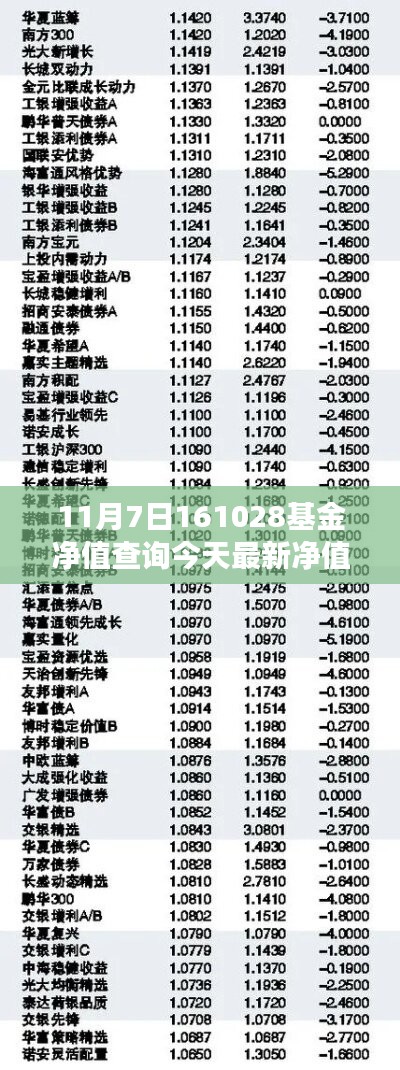 揭秘小巷深处的宝藏基金净值与美食奇缘——今日最新净值查询（基金代码，161028）