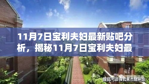 揭秘宝利夫妇最新贴吧动向，深度分析与热议（11月7日更新）