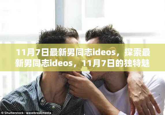 探索最新男同志ideos的独特魅力，11月7日的精选视频分享