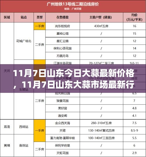 山东大蒜最新行情报道，价格动态与市场分析（11月7日）