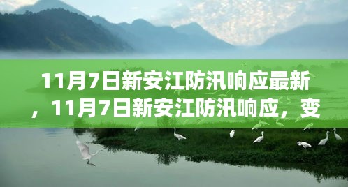 新安江防汛响应最新动态，铸就自信的励志之旅