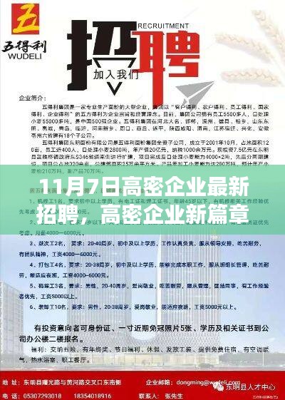 高密企业最新招聘日，职场奇遇与友情绽放的11月7日