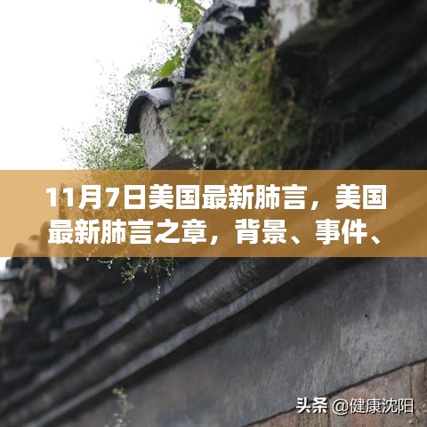 美国最新肺言之章，背景、事件、影响与时代地位解析（以11月7日为界）