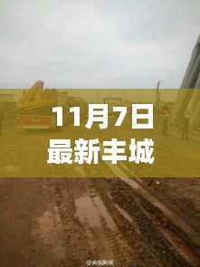 丰城市人事任免动态，新任领导力量揭晓（11月7日更新）