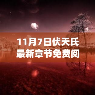 11月7日伏天氏最新章节免费阅读及深度分析与使用指南