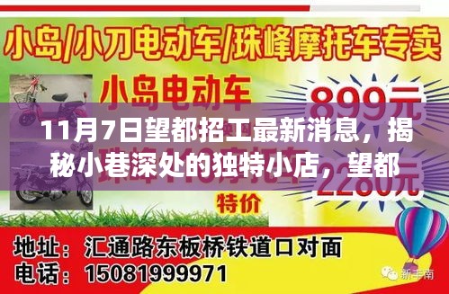 揭秘望都招工最新消息与小巷深处独特小店的背后故事（附日期）