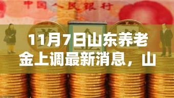 山东养老金上调背后的科技力量，全新智能管理系统体验报告（最新消息）