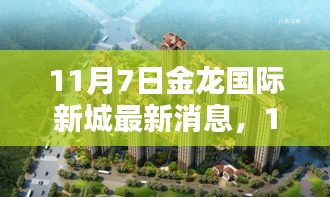 11月7日金龙国际新城独家揭秘，最新动态与惊喜连连