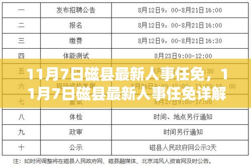 磁县最新人事任免详解，跟进与参与指南