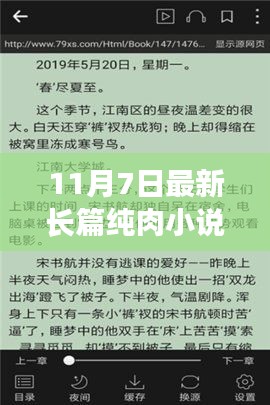 最新热门长篇纯肉小说推荐，深度测评与介绍