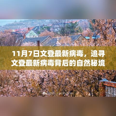 关于我们 第161页