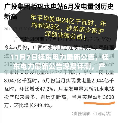 桂东电力最新公告解析，产品特性、用户体验与市场竞争力深度评测