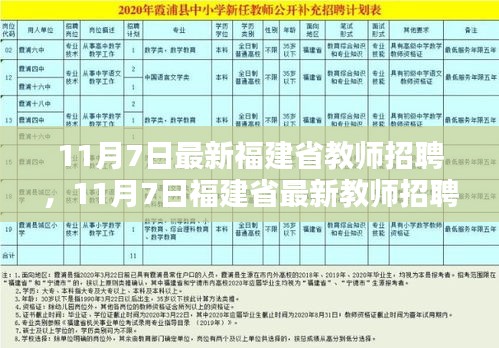 福建省教师招聘最新动态，11月7日更新