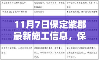 保定紫郡最新施工进展，11月7日日志与家的温馨日常