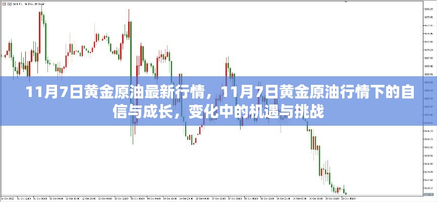 11月7日黄金原油行情下的机遇与挑战，自信与成长之路