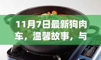 温馨故事，与最新狗肉车的奇妙相遇之旅（11月7日）