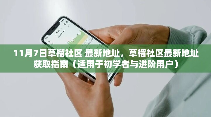 草榴社区最新地址获取指南，适用于初学者与进阶用户的全面指南（11月7日版）