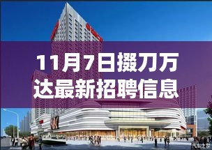 11月7日掇刀万达招聘信息深度解析，最新岗位与职业发展机会探讨