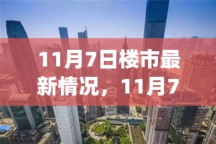 11月7日楼市最新动态，深度评测、特性体验、竞争分析与目标用户群体剖析