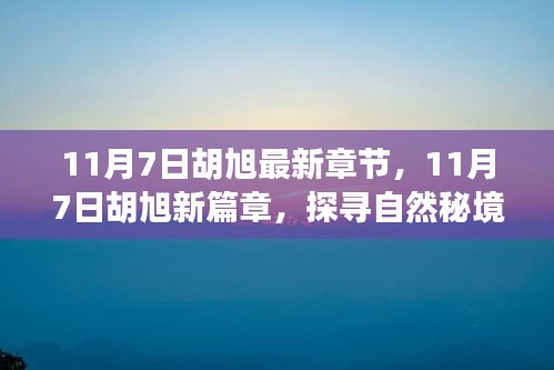 探寻自然秘境，胡旭最新篇章，重拾内心的宁静与平和（11月7日最新更新）