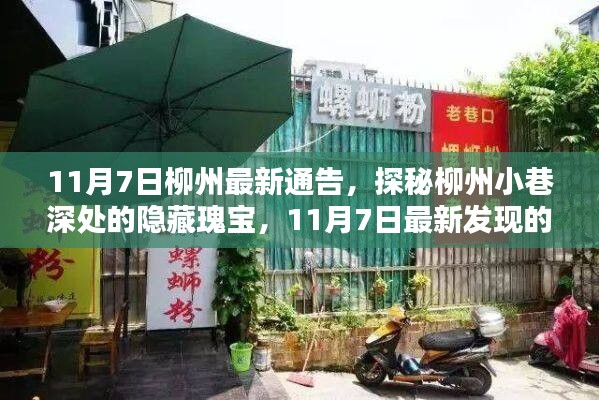 探秘柳州小巷深处的隐藏瑰宝，最新发现特色小店（11月7日柳州最新通告）