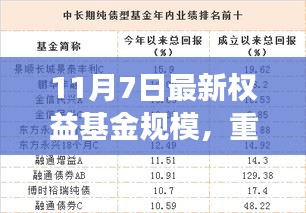 揭秘11月7日最新权益基金规模，洞悉市场新动态