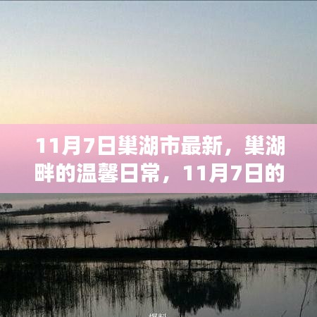 巢湖畔的温馨日常，11月7日暖阳下的友情故事