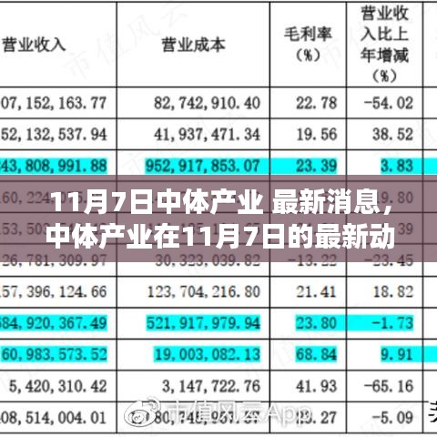 中体产业最新动态聚焦解析，11月7日深度解读要点消息