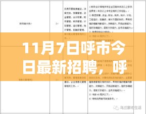 呼市最新招聘动态，11月7日岗位大放送，理想工作一网打尽