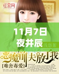 11月7日夜井辰唐心瑶新篇章，学习之旅的蜕变与成就感的魔法之旅