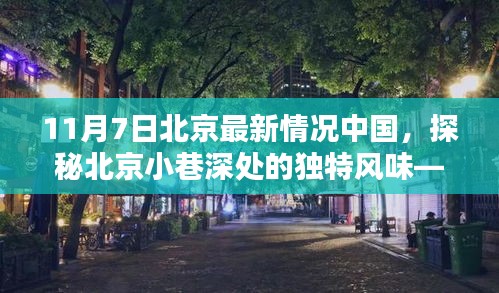 探秘北京小巷深处的独特风味，一家隐藏式特色小店的奇遇记——北京最新情况中国（11月7日）