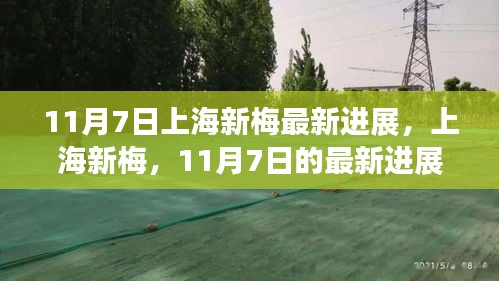 上海新梅最新进展揭秘，深远影响与动态分析（11月7日更新）