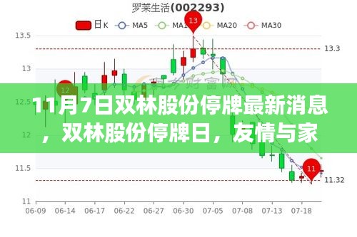 双林股份停牌日，友情与家庭的温暖时光，最新消息揭秘