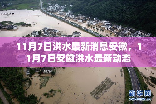 安徽洪水最新动态，11月7日洪水最新消息更新