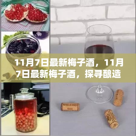 探寻酿造之美，品味独特之韵，最新梅子酒赏析