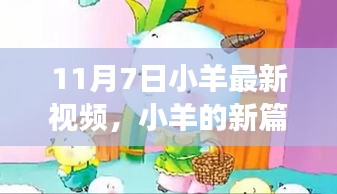 小羊新篇章启示录，变化的力量与学习的魅力——11月7日视频解析