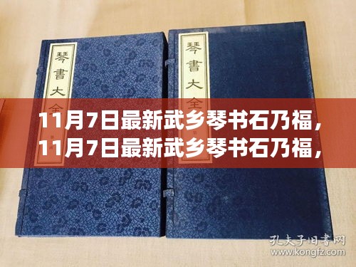 11月7日最新武乡琴书石乃福，全面评测与详细介绍