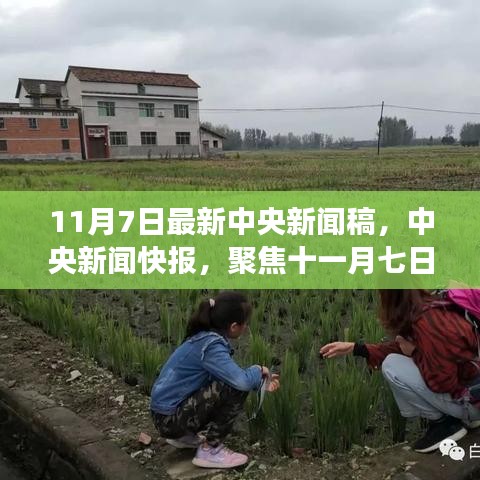 中央新闻快报聚焦，十一月七日政策动向与热点解读