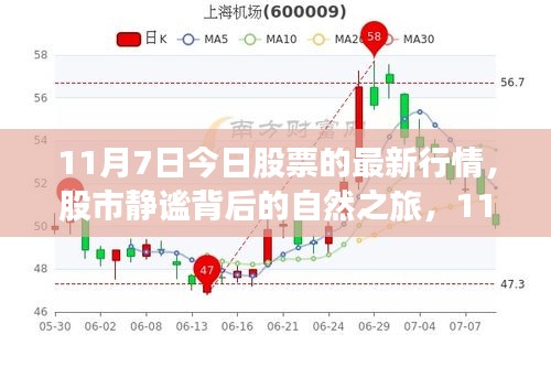 11月7日股市最新行情，静谧背后的绿色投资启程