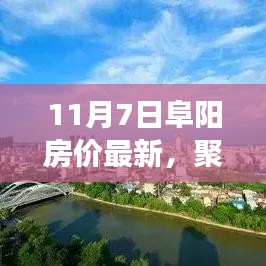 11月7日阜阳房价最新动态及趋势展望