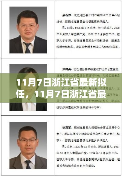 11月7日浙江省最新拟任详细步骤指南，初学者与进阶用户必读