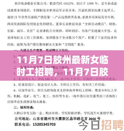 11月7日胶州女临时工招聘全新解析与介绍